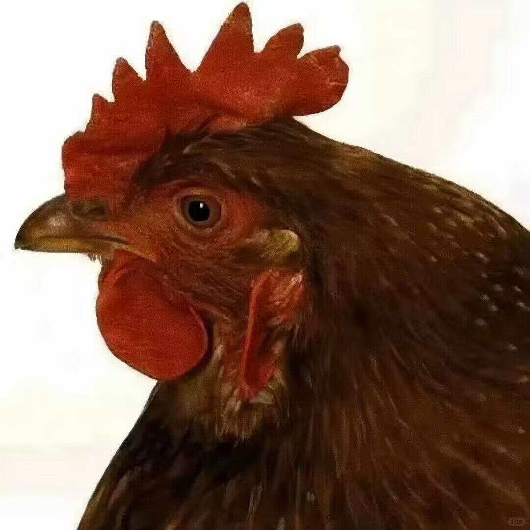 26武汉理工-李承谦